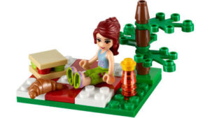 LEGO® Friends Picknick im Grünen